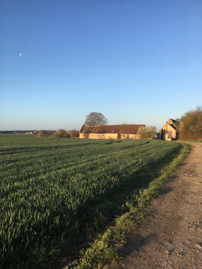 Le Grand Coudreau Bed and Breakfast Nazelles-Negron Buitenkant foto