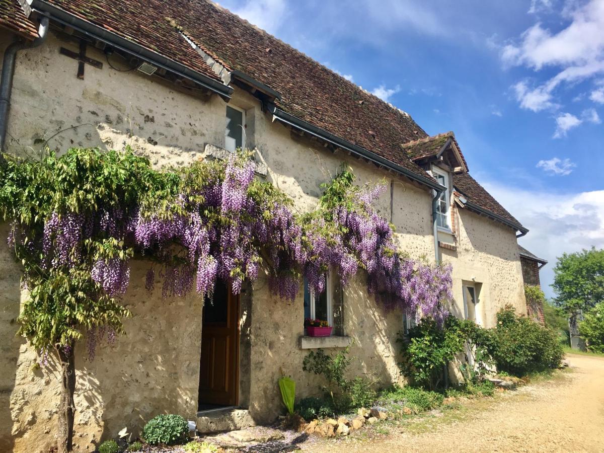 Le Grand Coudreau Bed and Breakfast Nazelles-Negron Buitenkant foto