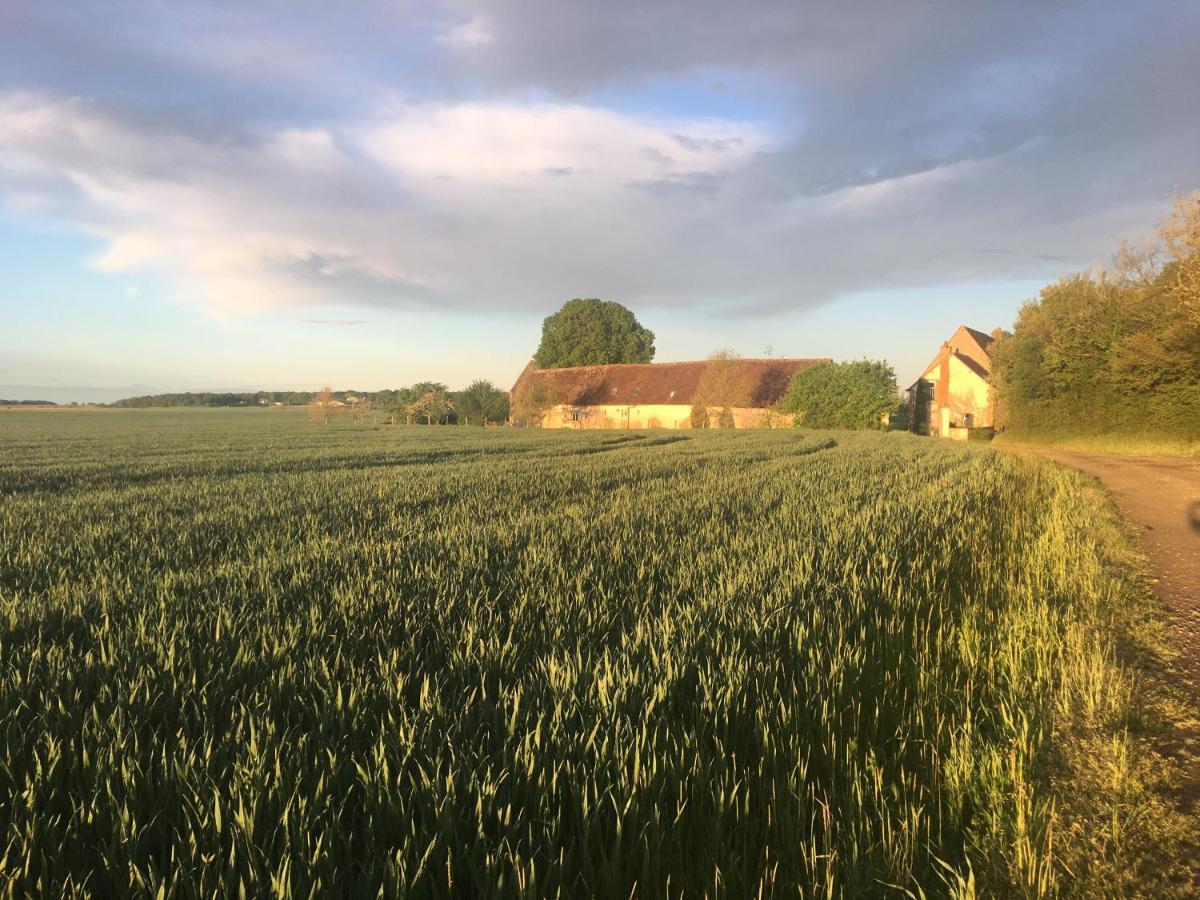 Le Grand Coudreau Bed and Breakfast Nazelles-Negron Buitenkant foto